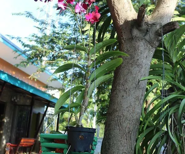 Baan Nong Deer Affittacamere Bangkok